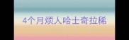4个月烦人哈士奇拉稀