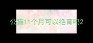 公猫11个月可以绝育吗