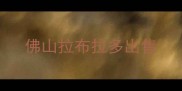 佛山拉布拉多出售