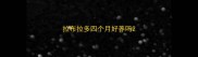 拉布拉多四个月好养吗