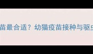 小猫多大打疫苗最合适幼猫疫苗接种与驱虫全流程指南