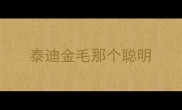泰迪金毛那个聪明