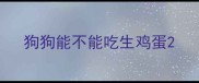狗狗能不能吃生鸡蛋