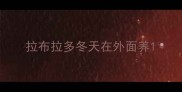 拉布拉多冬天在外面养