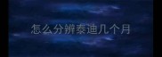 怎么分辨泰迪几个月