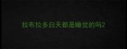 拉布拉多白天都是睡觉的吗