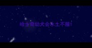 哈士奇幼犬会水土不服