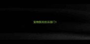 宠物医院投诉部门