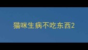 猫咪生病不吃东西
