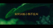 如何训练小狗不乱叫