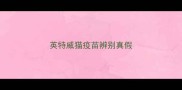 英特威猫疫苗辨别真假