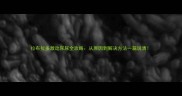 拉布拉多激动尿尿全攻略从原因到解决方法一篇说清