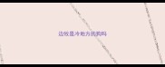 边牧是冷地方的狗吗