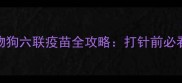荷兰原装进口宠物狗六联疫苗全攻略打针前必看注意事项与接种流程