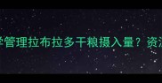 科学喂养指南如何科学管理拉布拉多干粮摄入量资深训犬师三大关键策略