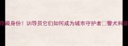 拉布拉多警犬的隐藏身份训导员它们如何成为城市守护者警犬科普宠物知识拉布拉多