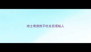 哈士奇突然不吃东西很粘人