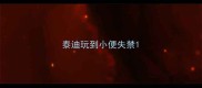 泰迪玩到小便失禁