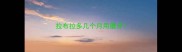 拉布拉多几个月用磨牙