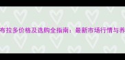 白色拉布拉多价格及选购全指南最新市场行情与养护知识