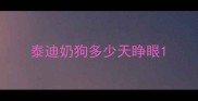 泰迪奶狗多少天睁眼
