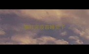 猫打完疫苗睡觉了