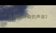 让猫咪好奇的声音