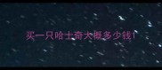 买一只哈士奇大概多少钱