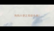 狗狗大便正常颜色表