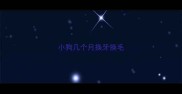 小狗几个月换牙换毛