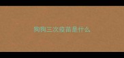 狗狗三次疫苗是什么