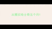 从哪买哈士奇五个月