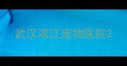 武汉滨江宠物医院