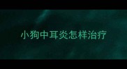 小狗中耳炎怎样治疗