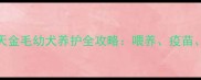 新手必看50天金毛幼犬养护全攻略喂养疫苗训练一次说清