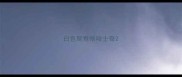 白色鸳鸯眼哈士奇