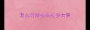 怎么分辩拉布拉多大便