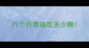 八个月泰迪吃多少颗
