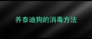 养泰迪狗的消毒方法