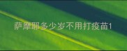 萨摩耶多少岁不用打疫苗
