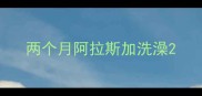 两个月阿拉斯加洗澡