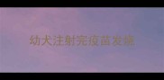 幼犬注射完疫苗发烧
