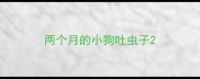两个月的小狗吐虫子