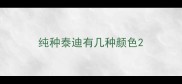 纯种泰迪有几种颜色