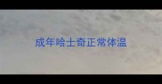 成年哈士奇正常体温