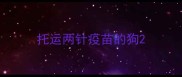 托运两针疫苗的狗