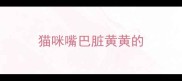 猫咪嘴巴脏黄黄的