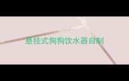 悬挂式狗狗饮水器自制