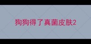 狗狗得了真菌皮肤