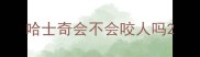 哈士奇会不会咬人吗
